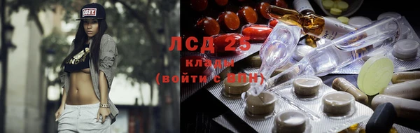 PSILOCYBIN Пестово
