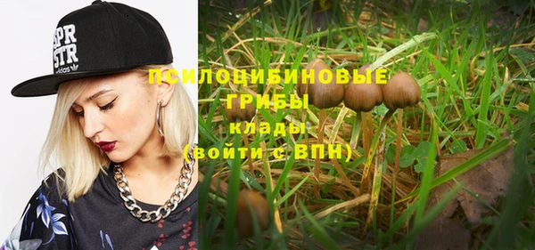 экстази Пересвет