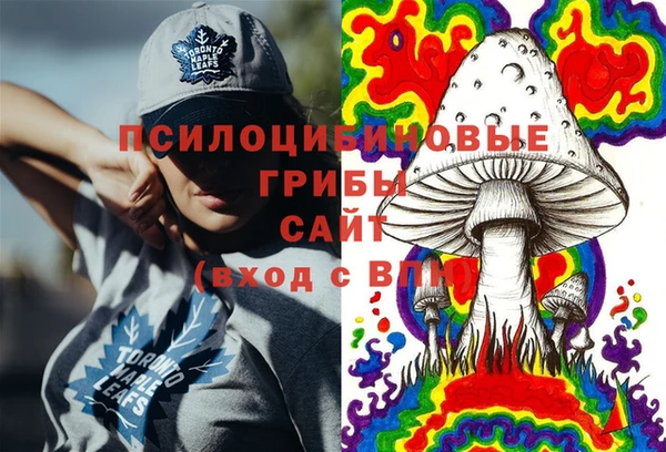 PSILOCYBIN Пестово