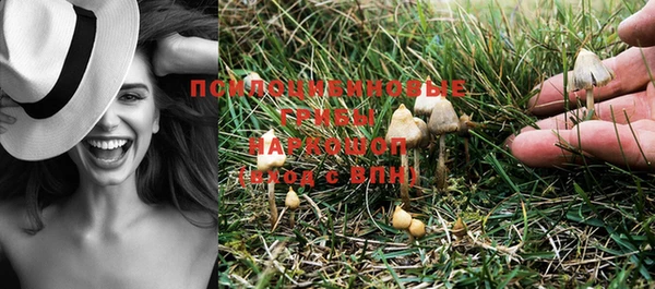 PSILOCYBIN Пестово