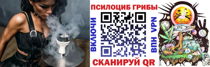 наркота  Рыбинск  Псилоцибиновые грибы Cubensis 